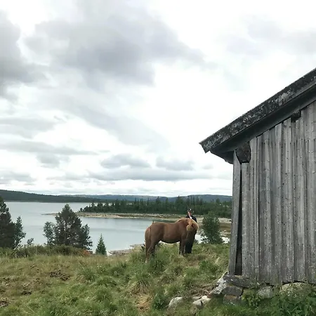 Feriehus Peaceful By Rodungen Ål